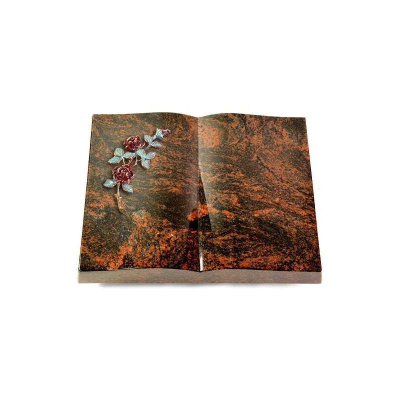 Grabbuch Livre/Aruba Rose 3 (Color)