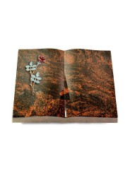 Grabbuch Livre/Aruba Rose 4 (Color)