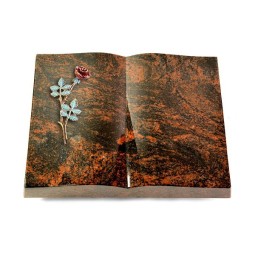 Grabbuch Livre/Aruba Rose 4 (Color)