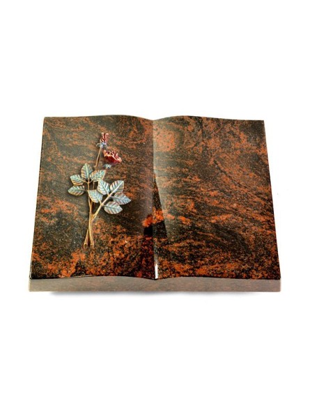Grabbuch Livre/Aruba Rose 5 (Color)
