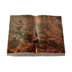 Grabbuch Livre/Aruba Rose 6 (Color)