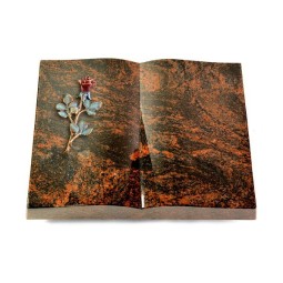 Grabbuch Livre/Aruba Rose 7 (Color)