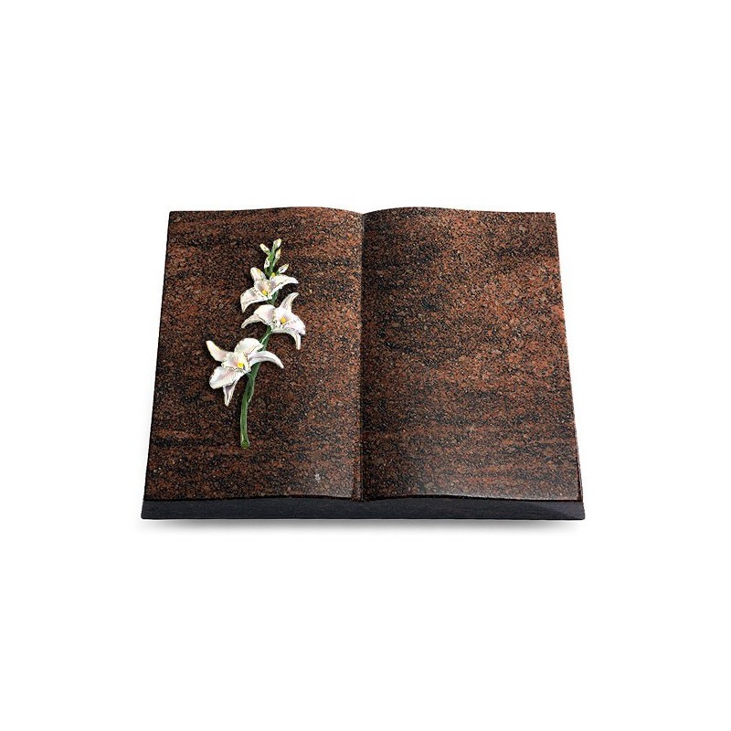 Grabbuch Livre/Englisch-Teak Orchidee (Color)