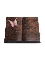 Grabbuch Livre/Englisch-Teak Papillon 1 (Color)