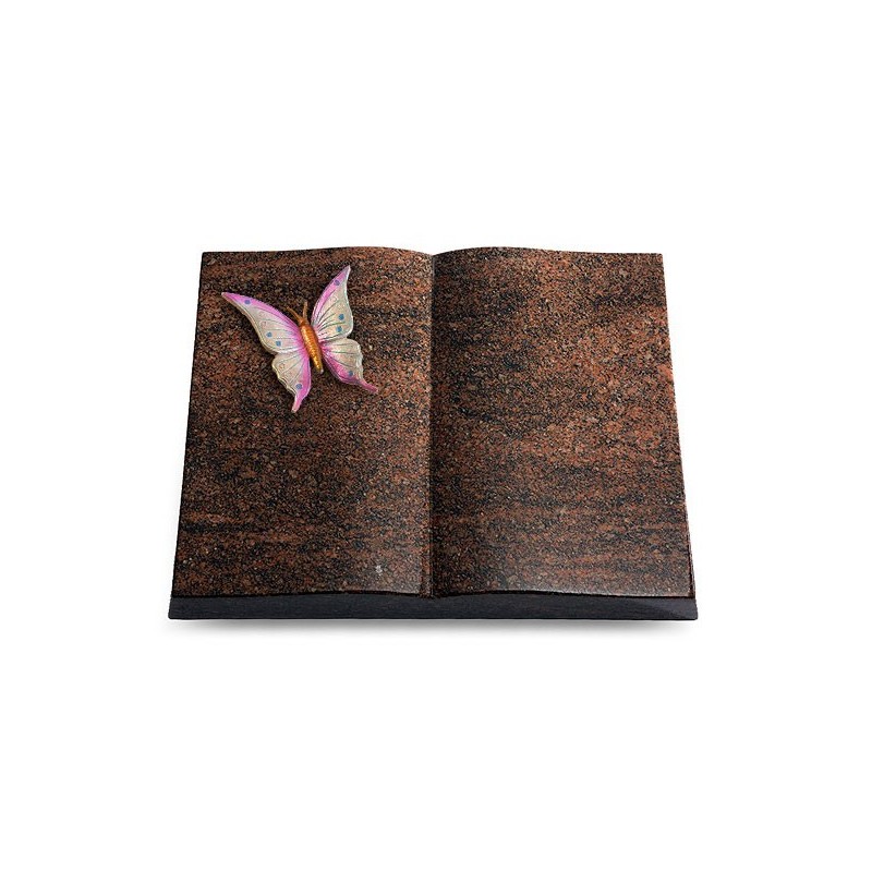 Grabbuch Livre/Englisch-Teak Papillon 1 (Color)