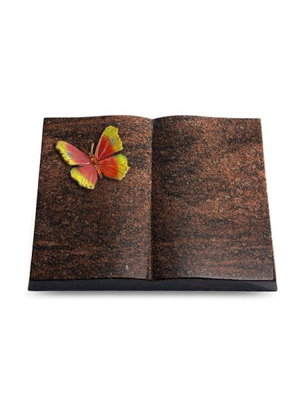 Grabbuch Livre/Englisch-Teak Papillon 2 (Color)