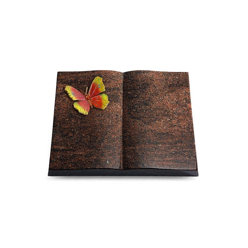 Grabbuch Livre/Englisch-Teak Papillon 2 (Color)
