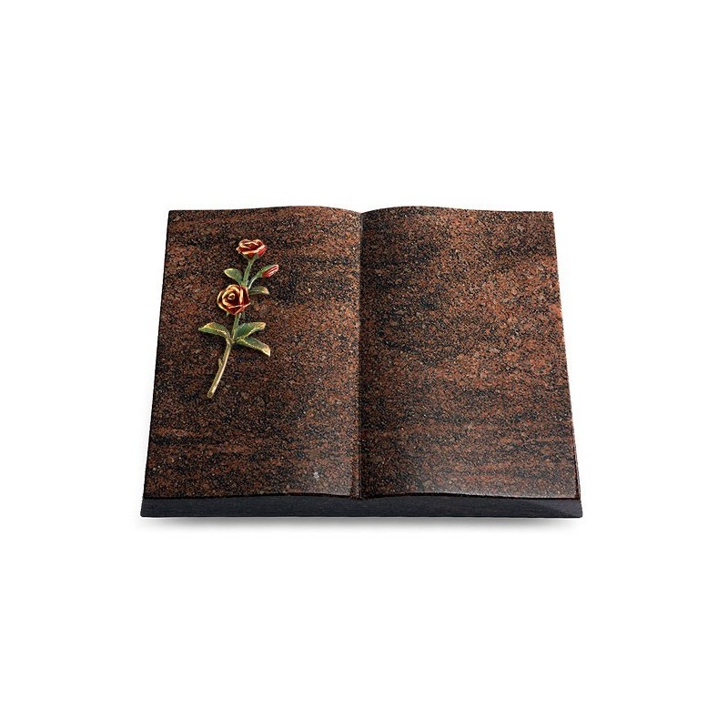 Grabbuch Livre/Englisch-Teak Rose 6 (Color)