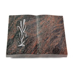 Grabbuch Livre/Himalaya Ähren 2 (Alu)