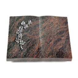 Grabbuch Livre/Himalaya Efeu (Alu)