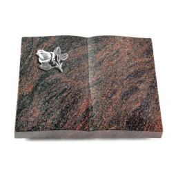 Grabbuch Livre/Himalaya Rose 3 (Alu)