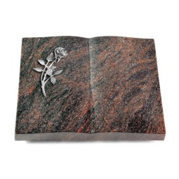 Grabbuch Livre/Himalaya Rose 6 (Alu)