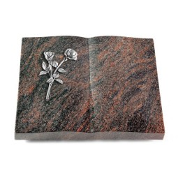 Grabbuch Livre/Himalaya Rose 10 (Alu)