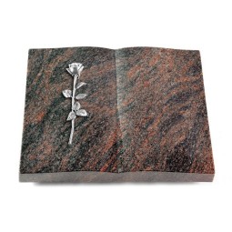 Grabbuch Livre/Himalaya Rose 12 (Alu)