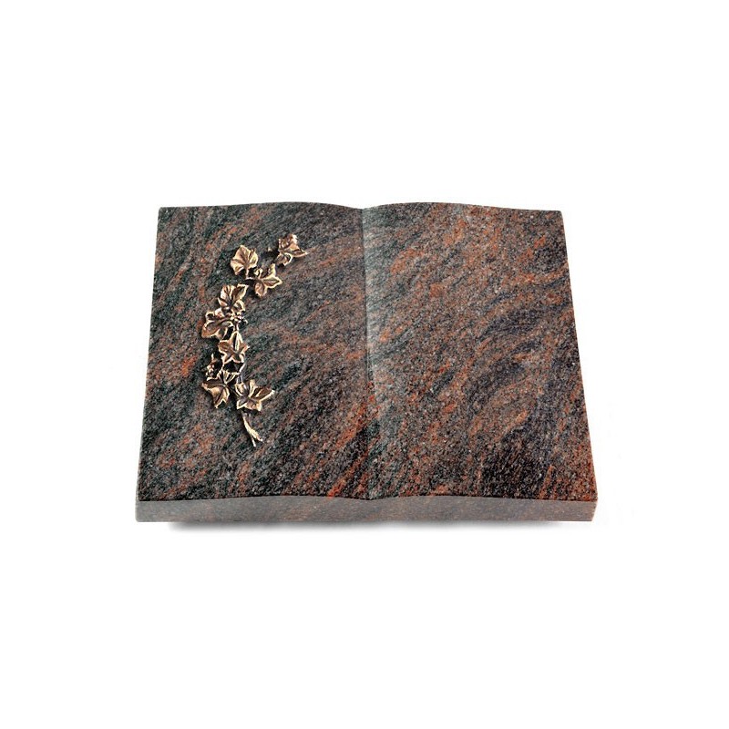 Grabbuch Livre/Himalaya Efeu (Bronze)