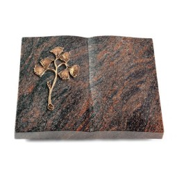Grabbuch Livre/Himalaya Gingozweig 1 (Bronze)