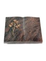 Grabbuch Livre/Himalaya Gingozweig 1 (Bronze)