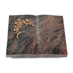 Grabbuch Livre/Himalaya Gingozweig 2 (Bronze)