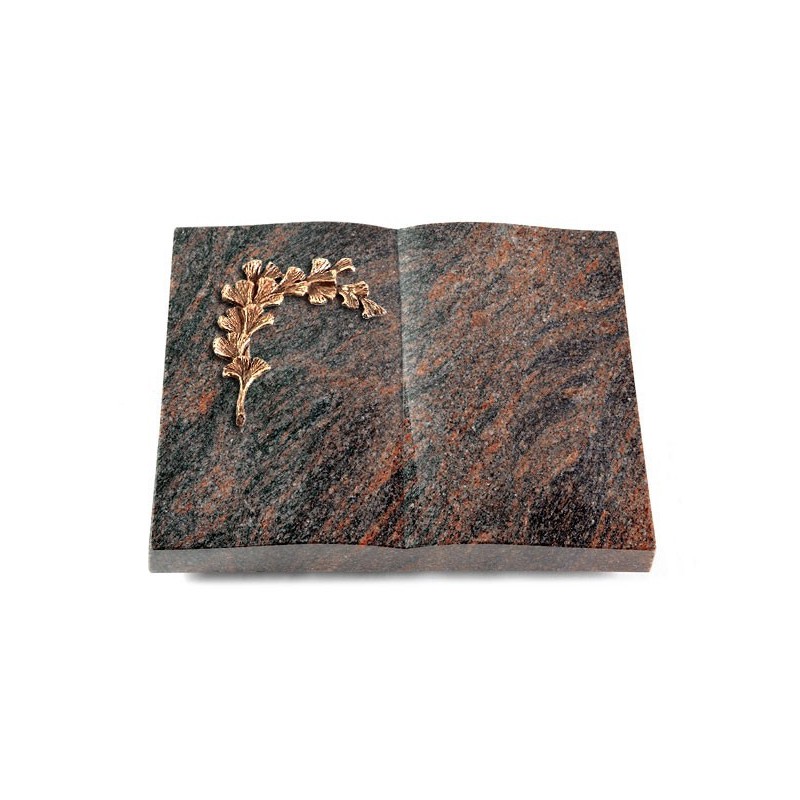 Grabbuch Livre/Himalaya Gingozweig 2 (Bronze)