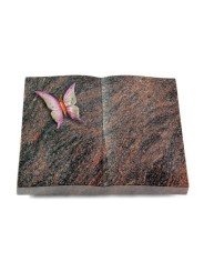 Grabbuch Livre/Himalaya Papillon 1 (Color)