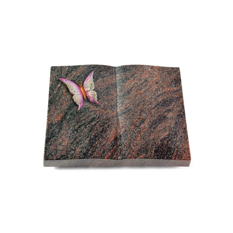 Grabbuch Livre/Himalaya Papillon 1 (Color)