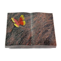 Grabbuch Livre/Himalaya Papillon 2 (Color)