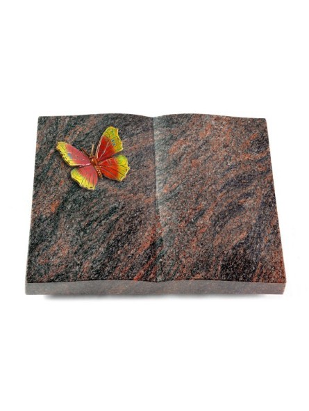 Grabbuch Livre/Himalaya Papillon 2 (Color)