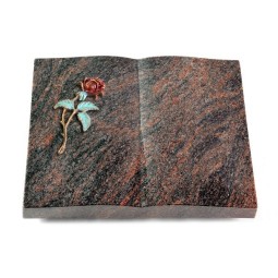 Grabbuch Livre/Himalaya Rose 2 (Color)