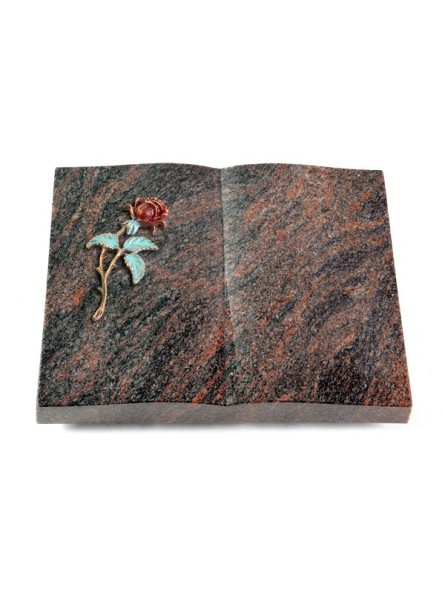Grabbuch Livre/Himalaya Rose 2 (Color)