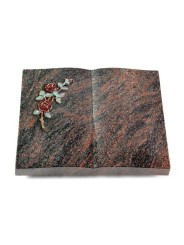 Grabbuch Livre/Himalaya Rose 3 (Color)