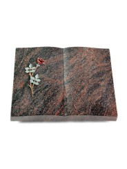 Grabbuch Livre/Himalaya Rose 4 (Color)