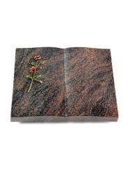 Grabbuch Livre/Himalaya Rose 6 (Color)