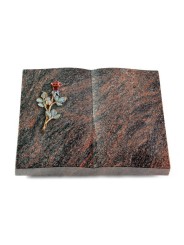 Grabbuch Livre/Himalaya Rose 7 (Color)
