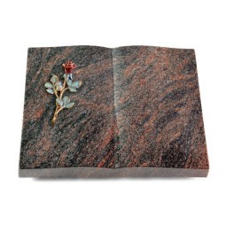 Grabbuch Livre/Himalaya Rose 7 (Color)