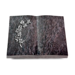 Grabbuch Livre/Orion Efeu (Alu)