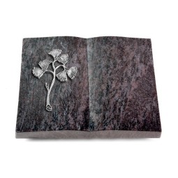 Grabbuch Livre/Orion Gingozweig 1 (Alu)