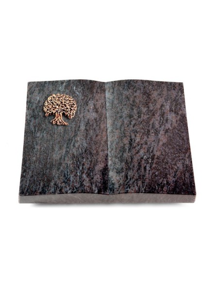 Grabbuch Livre/Orion Baum 3 (Bronze)