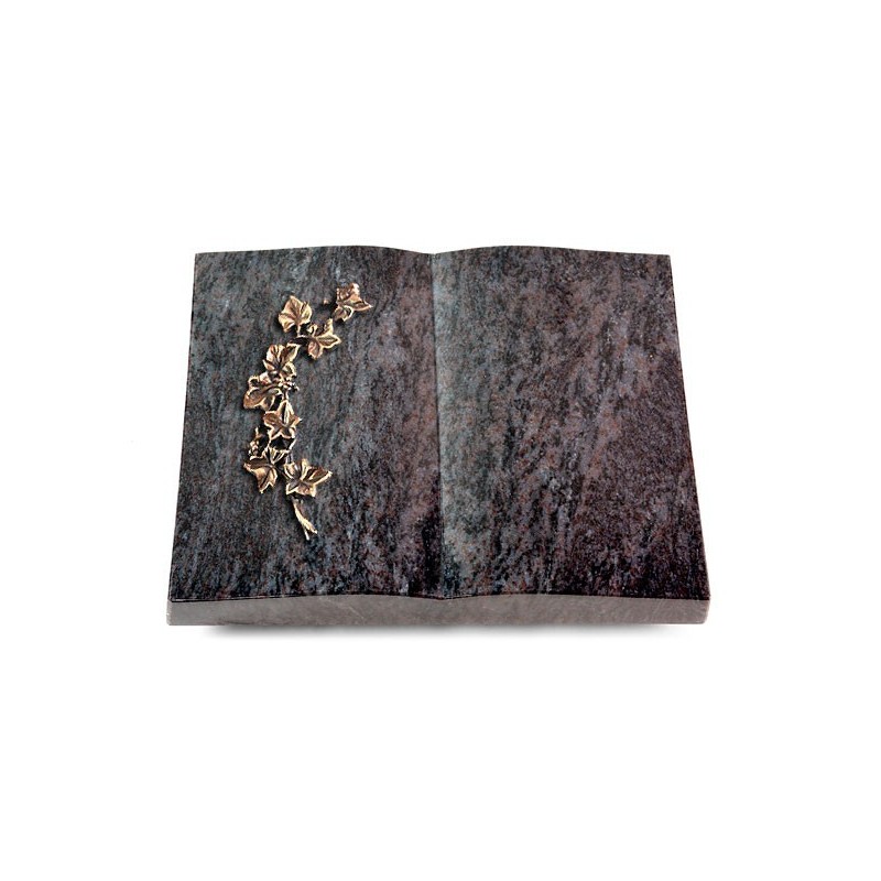 Grabbuch Livre/Orion Efeu (Bronze)