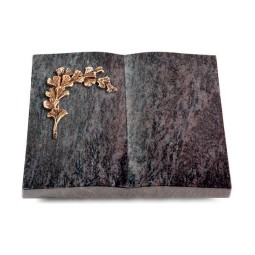 Grabbuch Livre/Orion Gingozweig 2 (Bronze)