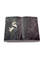 Grabbuch Livre/Orion Orchidee (Color)
