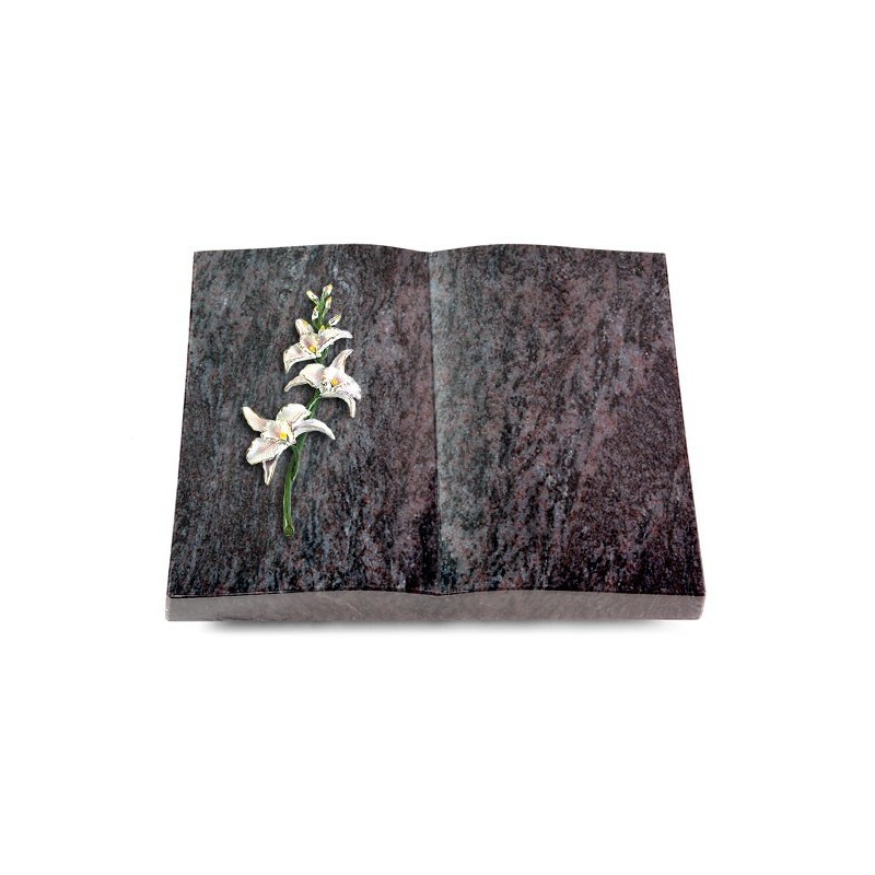 Grabbuch Livre/Orion Orchidee (Color)