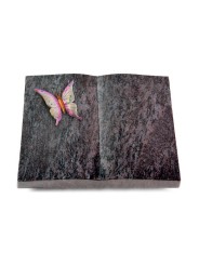 Grabbuch Livre/Orion Papillon 1 (Color)