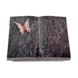 Livre/New Kashmir Papillon 1 (Color)