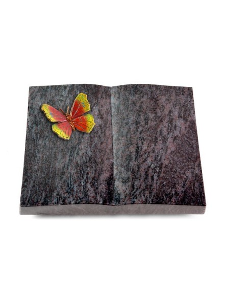 Grabbuch Livre/Orion Papillon 2 (Color)