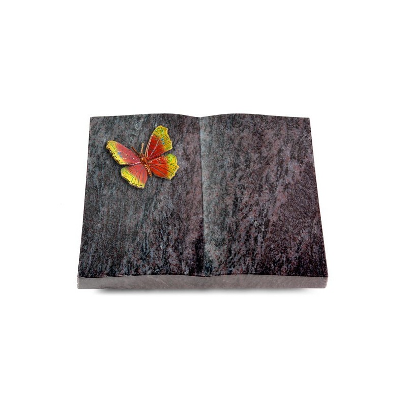 Grabbuch Livre/Orion Papillon 2 (Color)