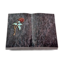 Grabbuch Livre/Orion Rose 2 (Color)