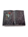 Grabbuch Livre/Orion Rose 2 (Color)