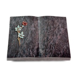 Grabbuch Livre/Orion Rose 4 (Color)