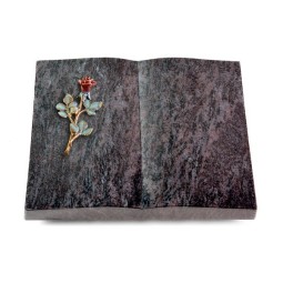 Grabbuch Livre/Orion Rose 7 (Color)