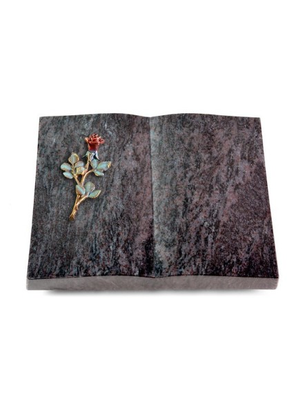 Grabbuch Livre/Orion Rose 7 (Color)